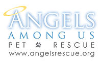 Angels Among Us
